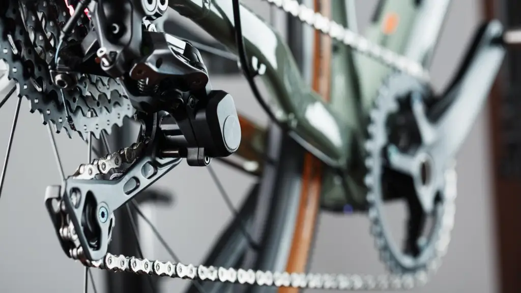 Zoom on a bicycle clutch, chain and chainring