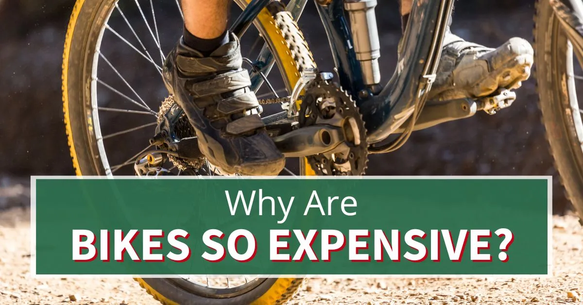 Why Are Bikes So Expensive? 12 Reasons Explained