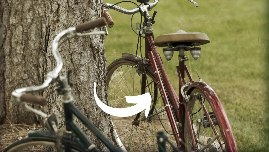 2 vintage bicycles on the trunk of a tree.