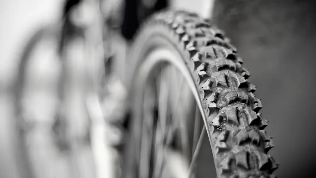 Mountain bike tire focus